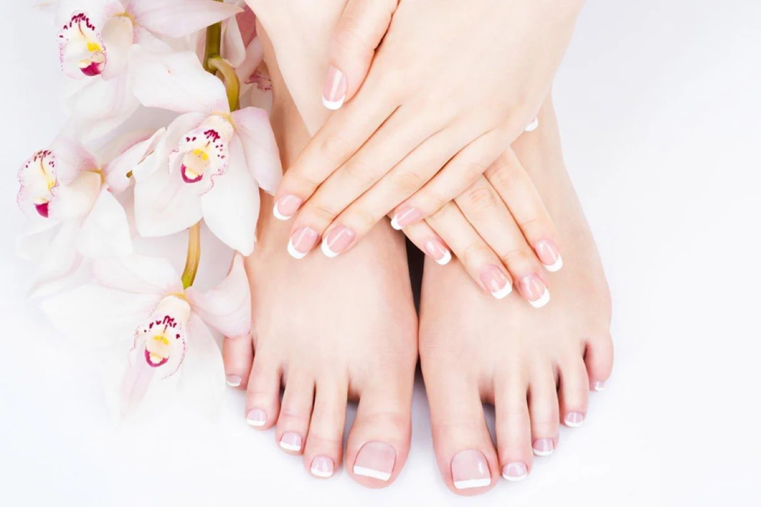 Feet